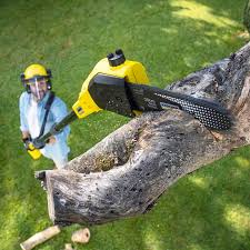 Best Weed Control  in Clinton, MD